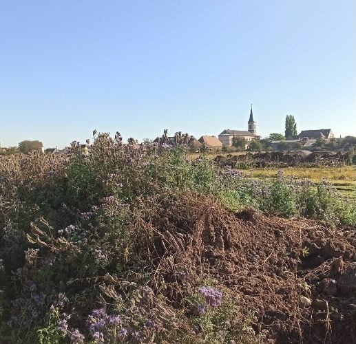 Terrains Vendre Colmar Maisons Crisalis Constructeur De Maisons En